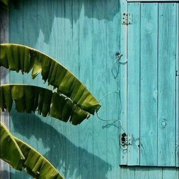 Meet your Posher - Picture 3 of 3